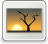 [thumbnail of 212951_Scan 4B.jpg]